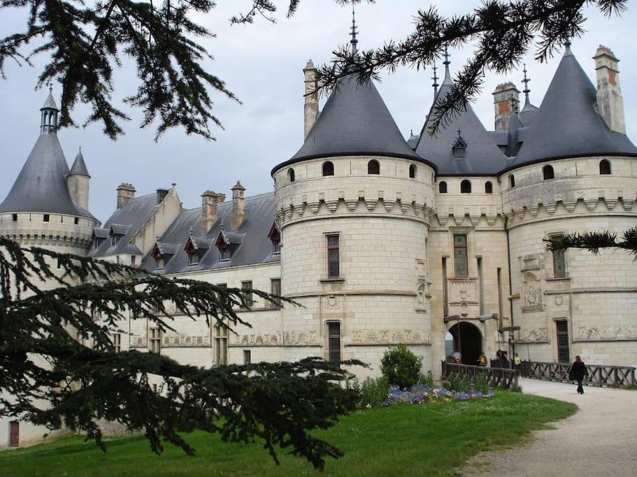 La Quintessence - Amboise Hypercentre Leilighet Eksteriør bilde